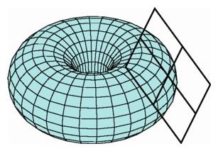surface of a torus