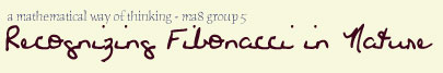 Recognizing Fibonacci in Nature (banner)