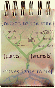 navigation notebook