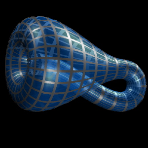 [The Klein Bottle]