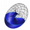 [Sliced Torus]