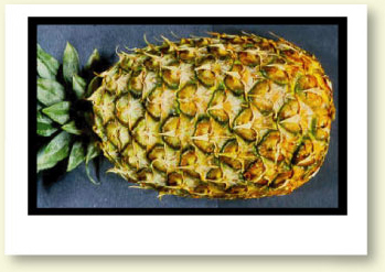 pineapple image