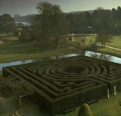 Maze