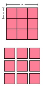 A square of side length m subdivided into 
m^2 unit squares.