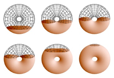 Slicing the torus held vertically