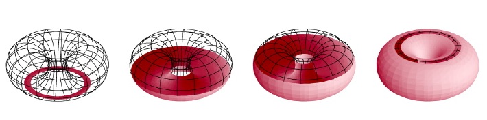 Slicing the torus held horizontally