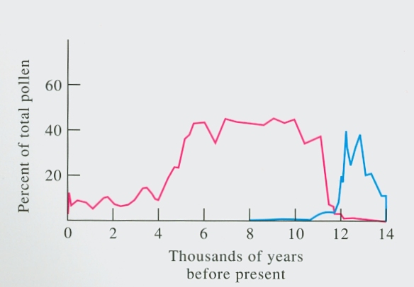A time series shows the changing percentages of pollen in forb and pine at one site in Michigan over 14,000 years.