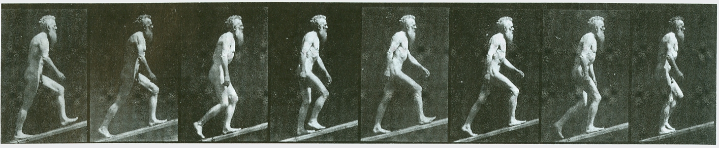 Eadweard Muybridge