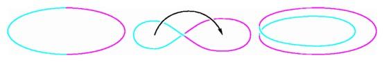Each point of the equator can be attached to its antipodal point by giving the equator a twist, then wrapping it around itself.