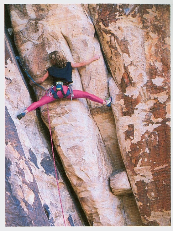 A climber scales a sheer cliff in a virtually two-dimensional environment.